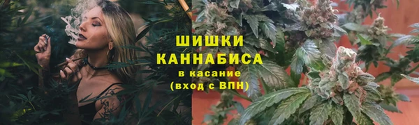 шишки Армянск