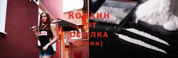 шишки Армянск