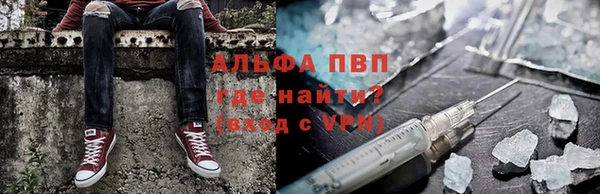 шишки Армянск