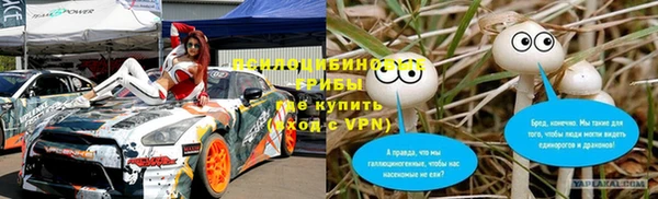 шишки Армянск