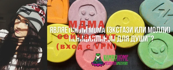 шишки Армянск